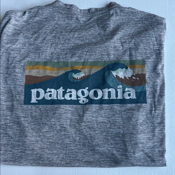 Patagonia Light Gray Men's Short Sleeve Tee - Picture 4 of 4